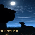 दिल ज़रा संभल ज़रा - hindi lyrics audio