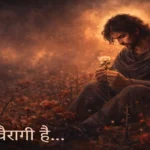 दिल वैरागी है - hindi shayari