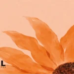 मगर आहिस्ते