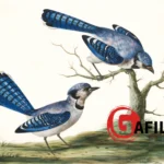 ये सावन भी बीत जाएगा… इंतेजार की प्रेम कविता । ग़ाफ़िल